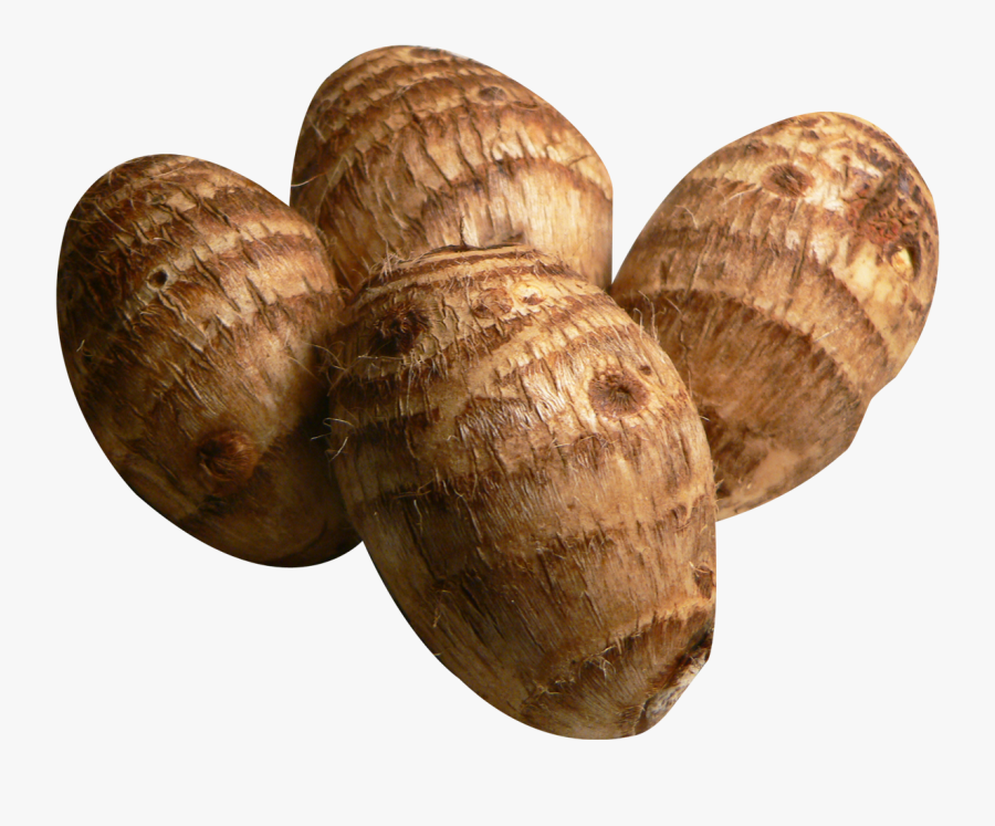 Taro Png Image - Chinese Root Vegetable, Transparent Clipart