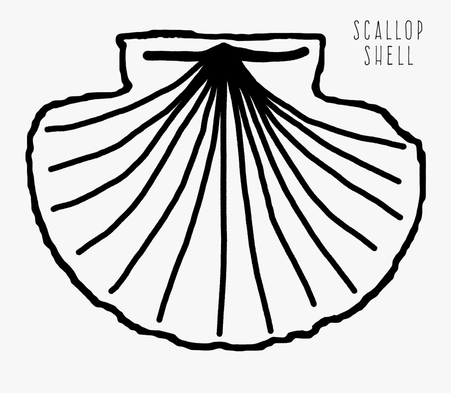 Scallop At Getdrawings Com - Scallop Shell Coloring Page, Transparent Clipart