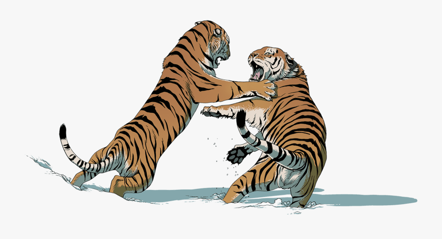 Transparent Tiger Face Png - Tiger Fight Png, Transparent Clipart