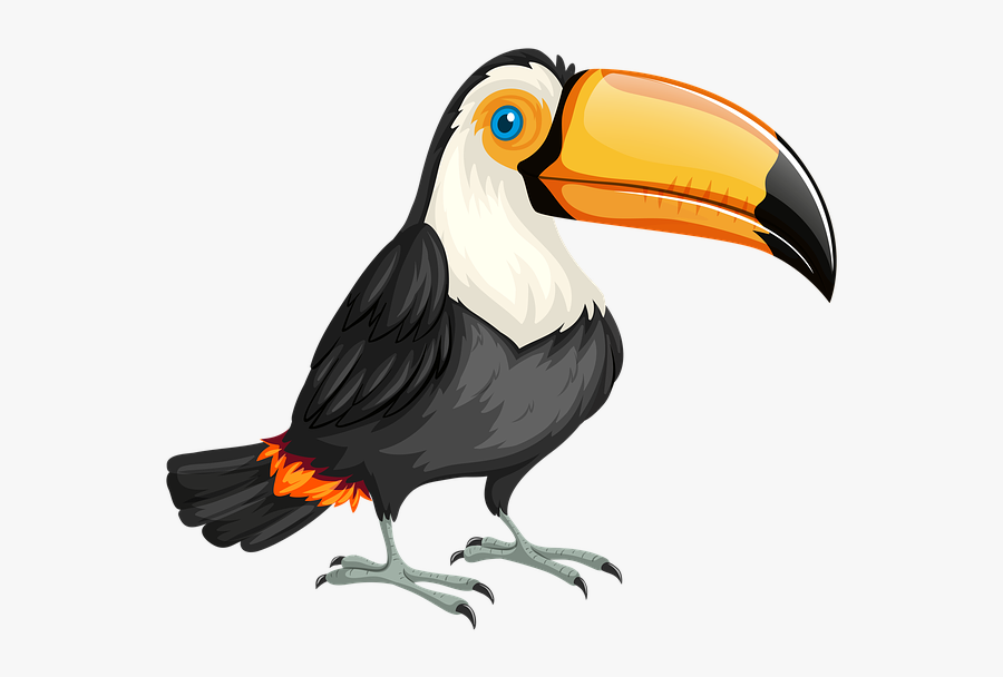 Toucan Clipart - Tucan Png, Transparent Clipart