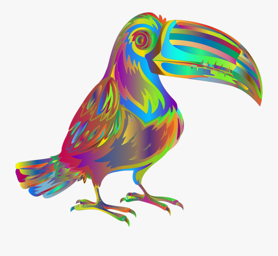 Bird,toucan,piciformes - Toucan, Transparent Clipart
