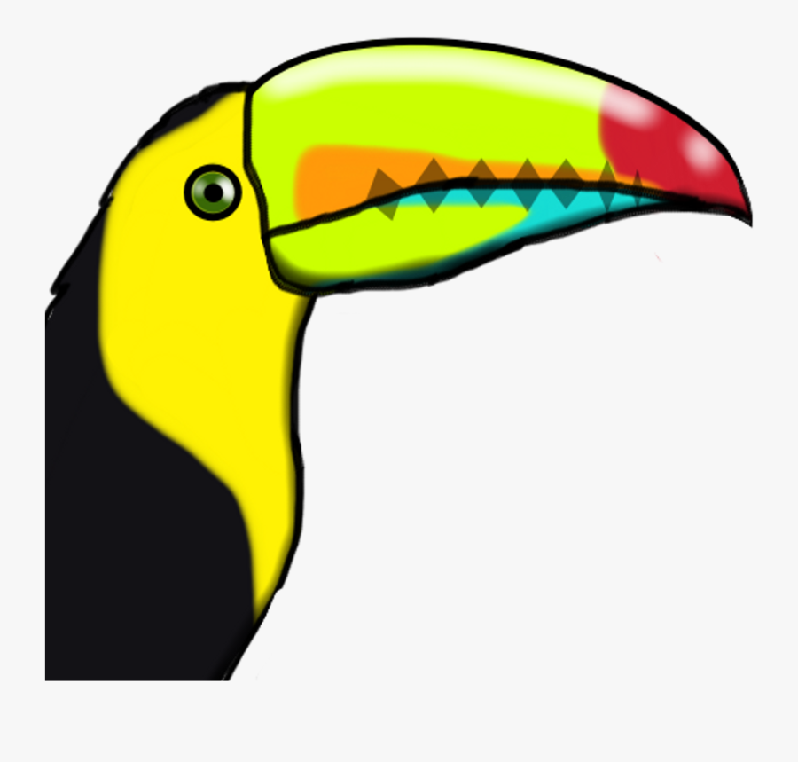Bird Toucan Color Colorfulfreetoedit - Toucan, Transparent Clipart