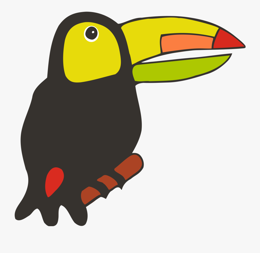 Clipart Birds Tucan - Toucan Drawing, Transparent Clipart