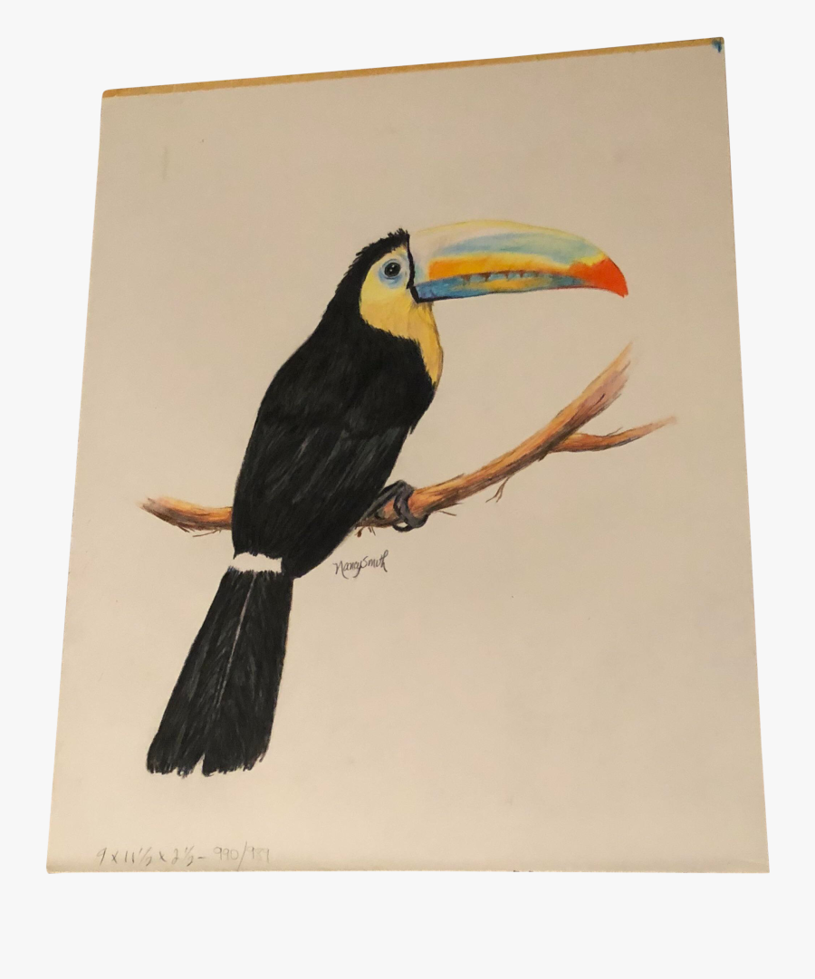Toucan, Transparent Clipart