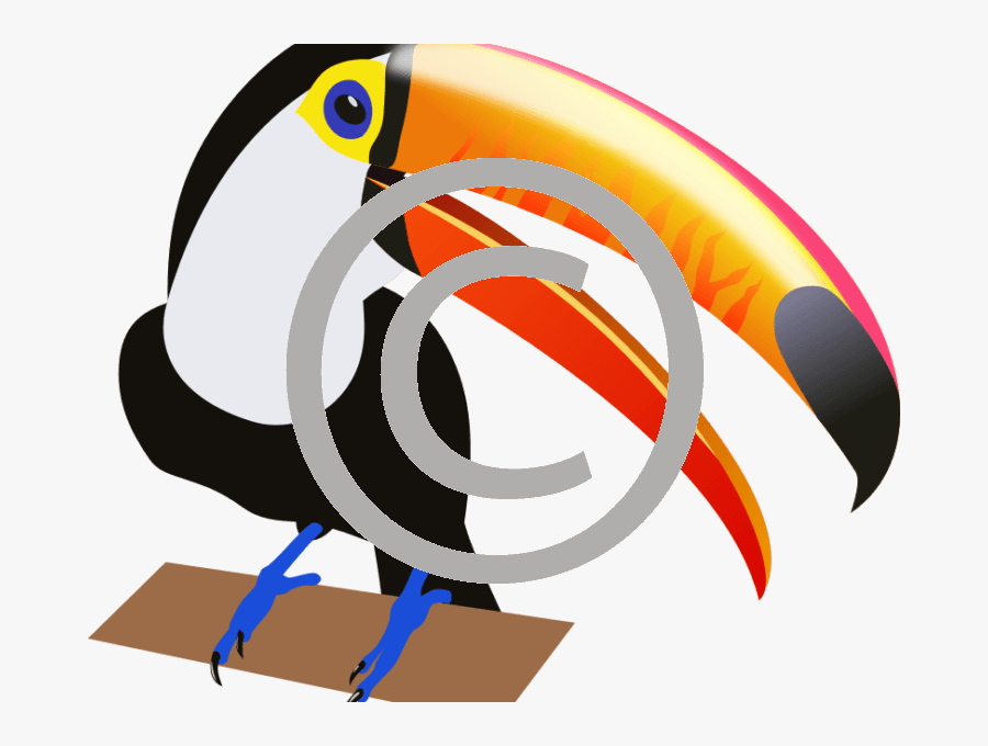 Toucan Clip Art, Transparent Clipart