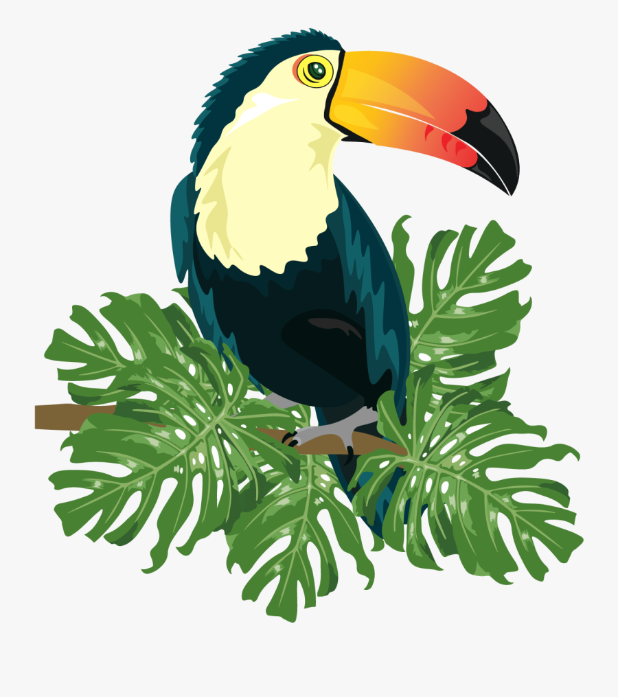Ramphastinae Bird Ramphastos Illustration - Bird Illustration Vector Png, Transparent Clipart