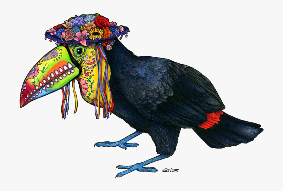 Tucan Drawing - Bird Of Prey, Transparent Clipart