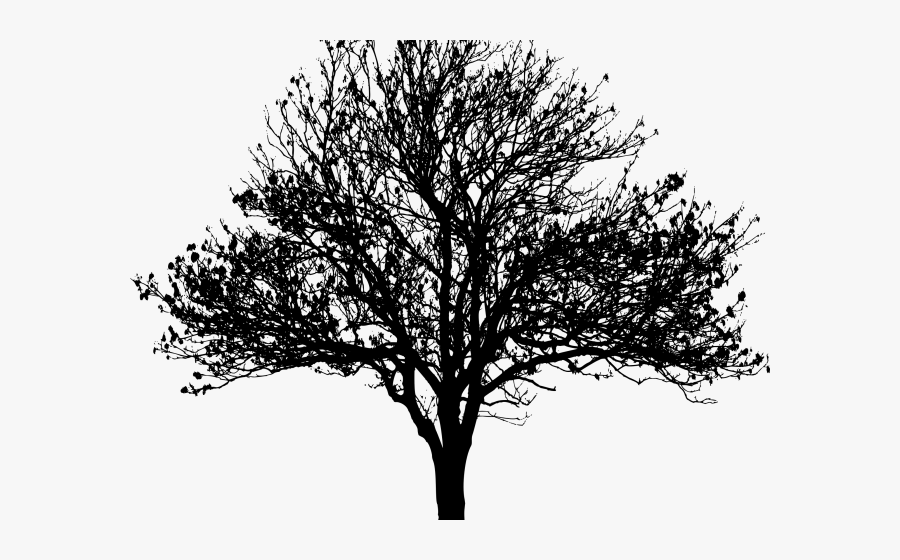 Apple Tree Silhouette - Winter Tree Silhouettes Png, Transparent Clipart