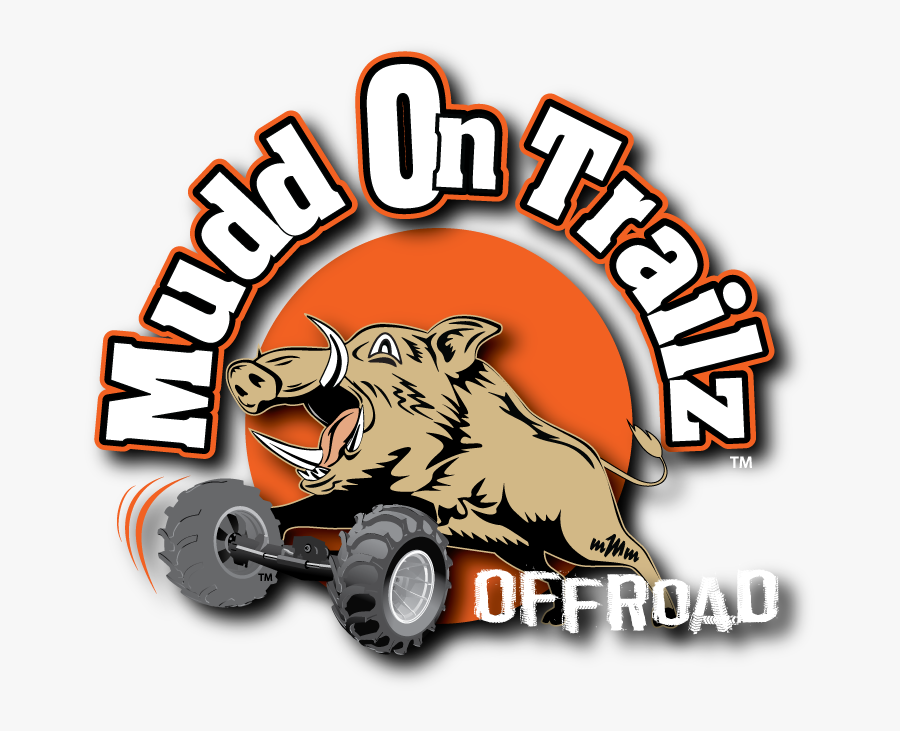 Boar, Transparent Clipart