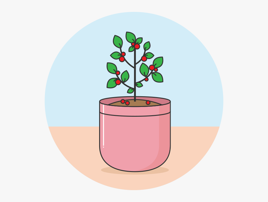 Plant The Seed - Circle, Transparent Clipart