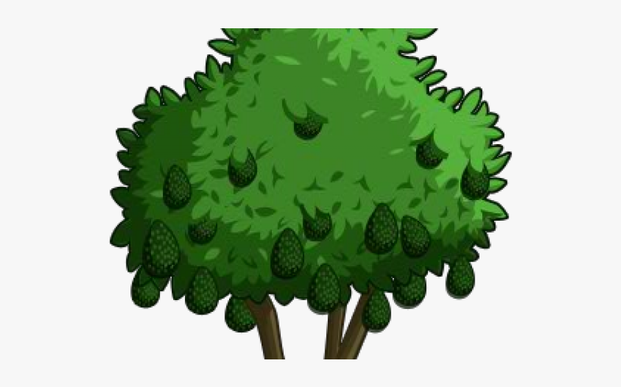Avocado Clipart Happy Free - Clip Art Avocado Tree, Transparent Clipart