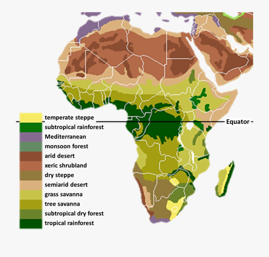 Africa Biomes Ref Geo - Biomes Of Africa, Transparent Clipart