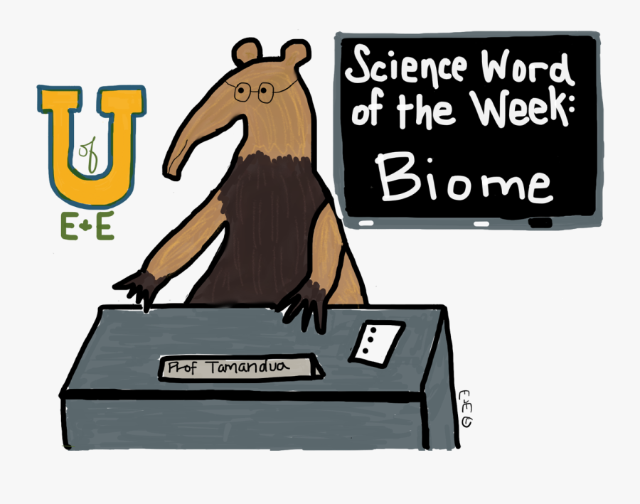 Insectivore, Transparent Clipart