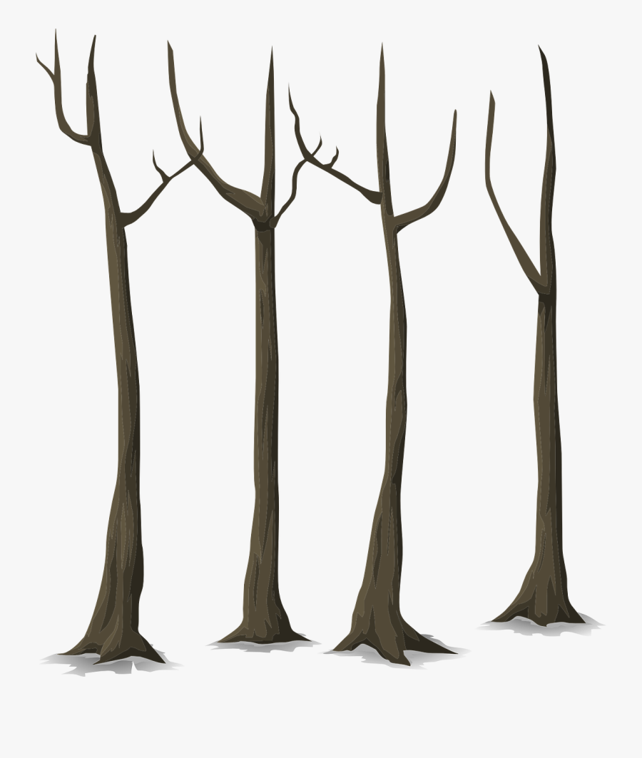 Trees Without Leaves Clipart, Transparent Clipart