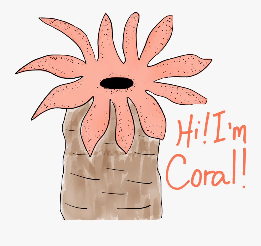 Sketches - - Polipo Dibujo, Transparent Clipart