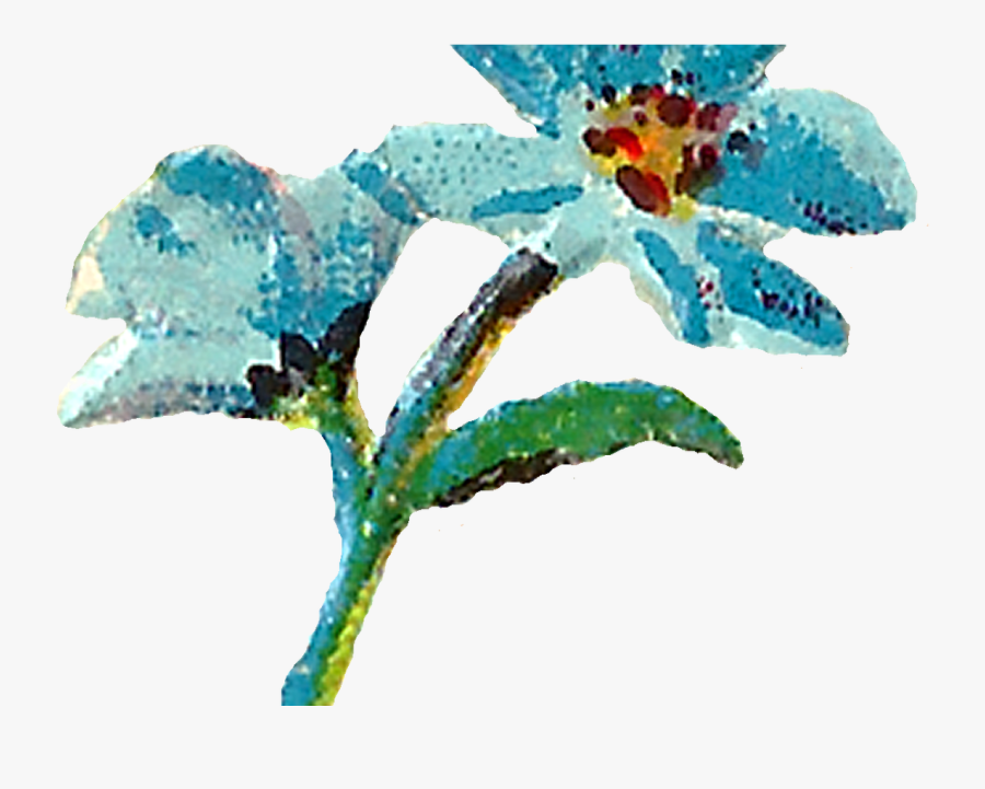 Teal Watercolor Flower Clipart Image - Pastel Water Color Flower, Transparent Clipart