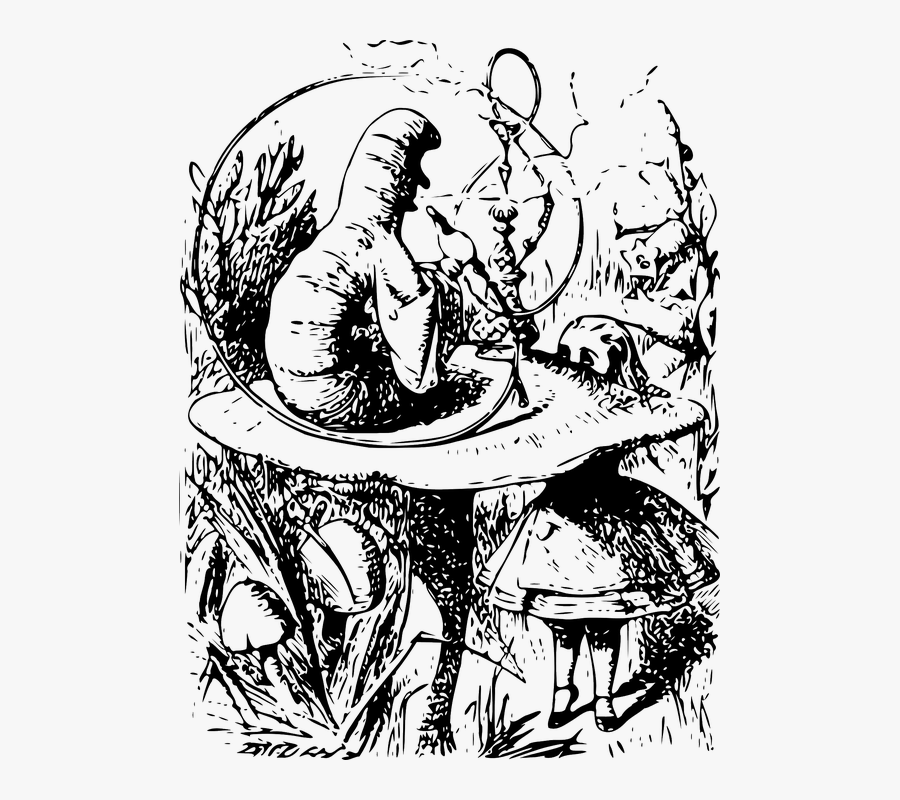 Alice In Wonderland, Talking, Caterpilla, Fairy, Tale - Alice In Wonderland Caterpillar Original, Transparent Clipart