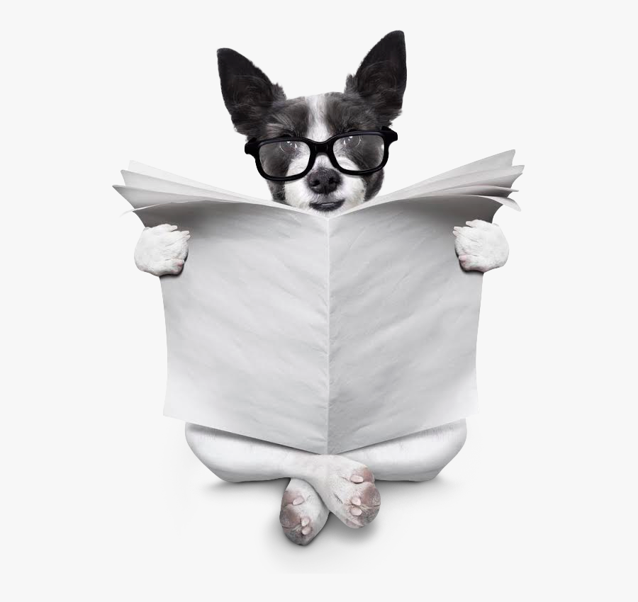 Clip Art Http Www Peteplay Com - Dog Reading Newspaper, Transparent Clipart