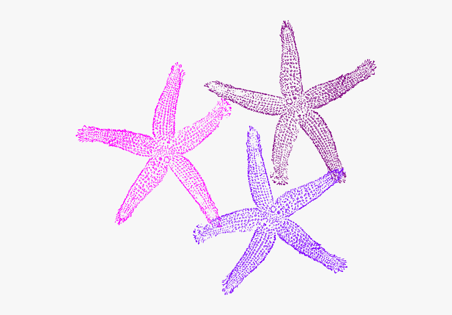 Starfish Transparent Background, Transparent Clipart