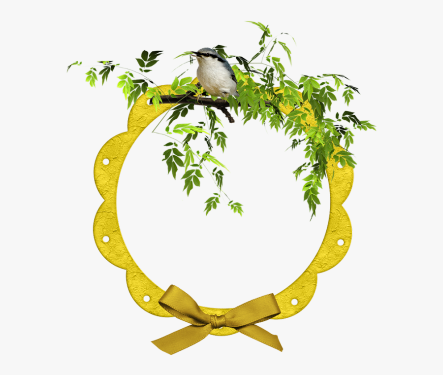Cluster Bird And Flowers Clipart , Png Download - Picture Frame, Transparent Clipart