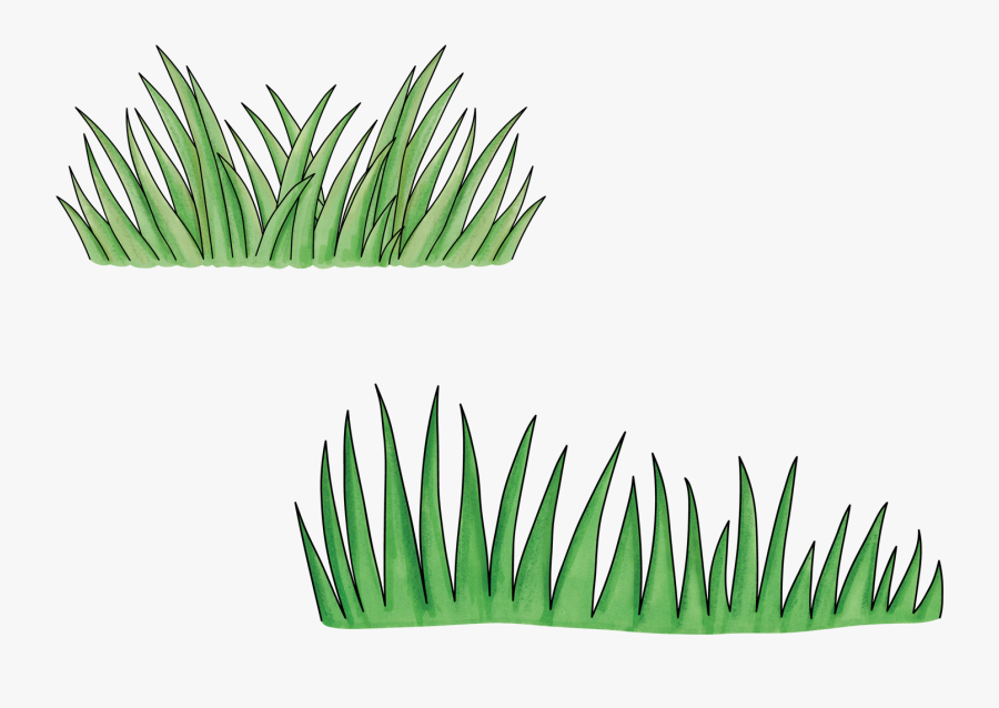 Sea Grass Clipart, Transparent Clipart