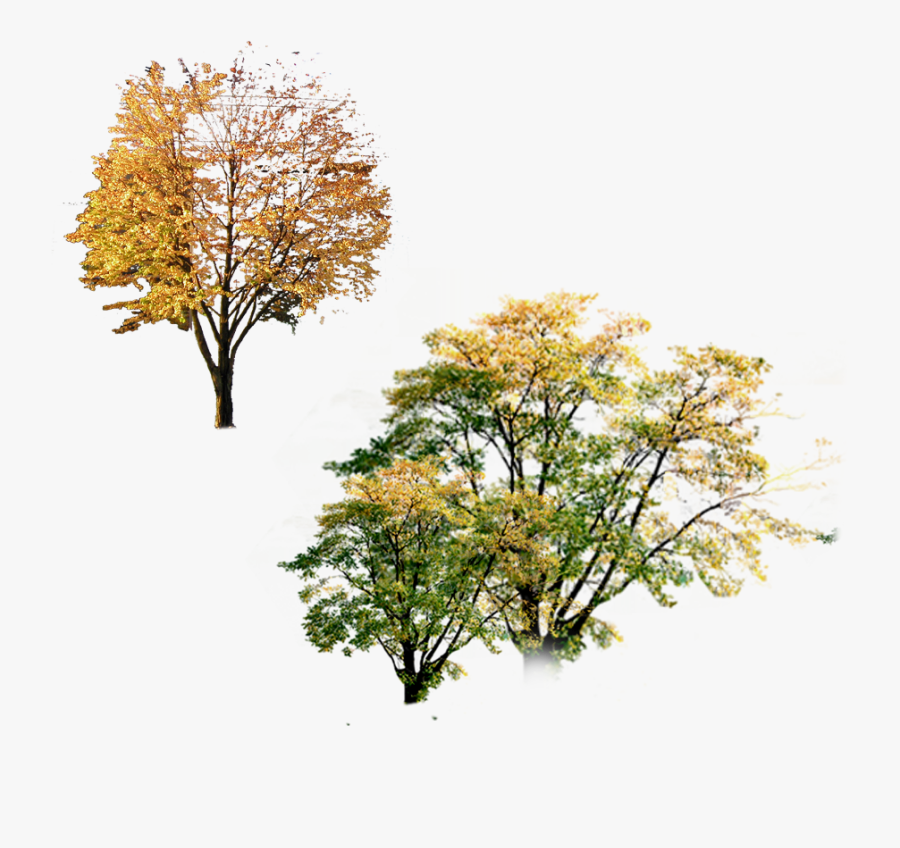 Clip Art Autumn Poster Tree Landscape - Autumn, Transparent Clipart