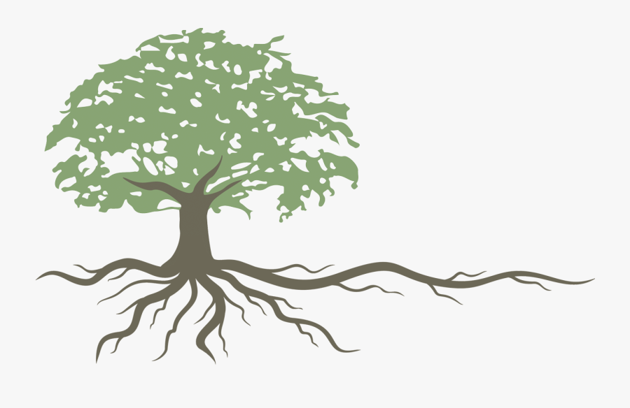 Marion Public Health - Marion Public Health Ohio, Transparent Clipart