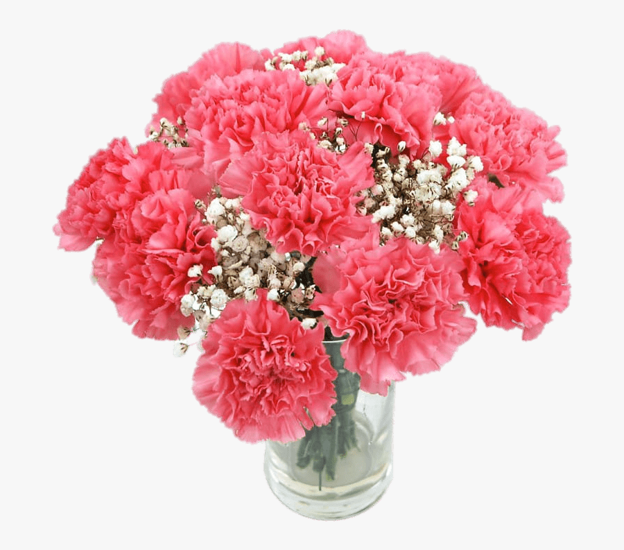 Geranium - Carnations Png, Transparent Clipart