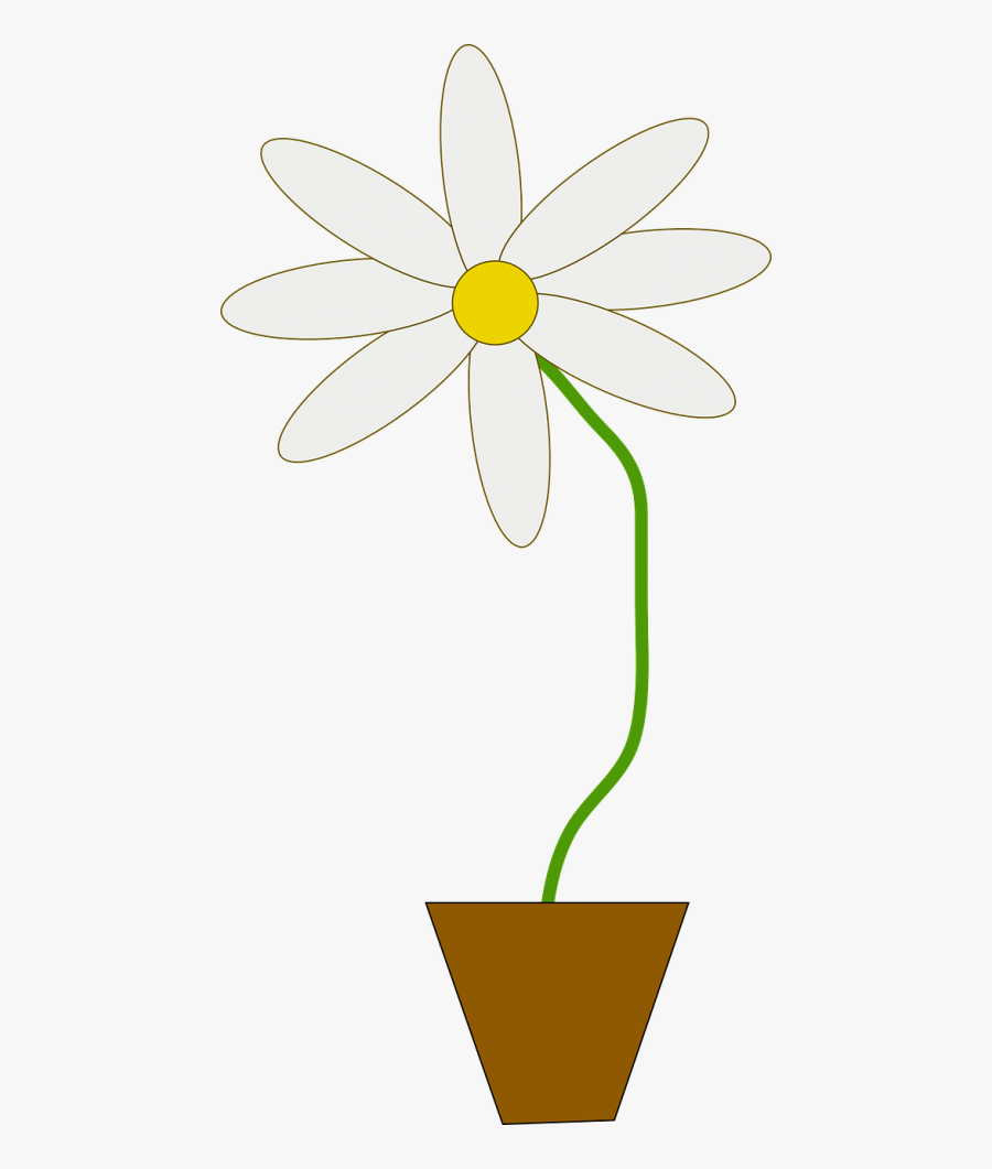  Flower  Flower Pot  Potted Flower  In A Pot  Animated Free 