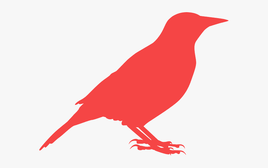 Perching Bird, Transparent Clipart