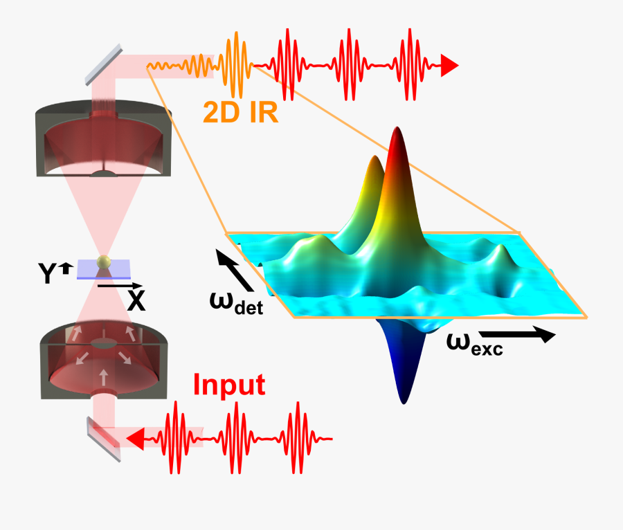 Transient 2d Ir Spectroscopy - Two Dimensional Infrared Spectroscopy 2d Ir, Transparent Clipart