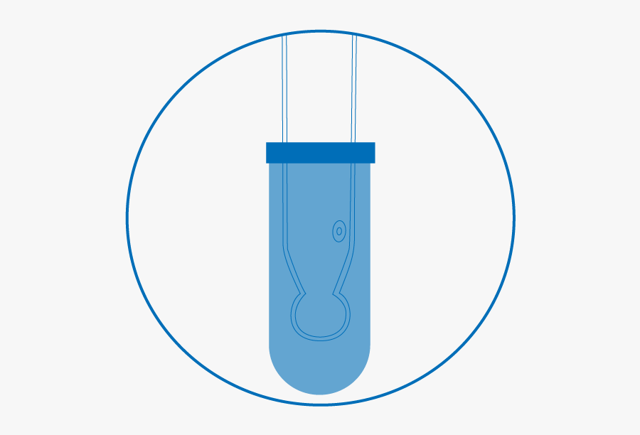 Circle, Transparent Clipart