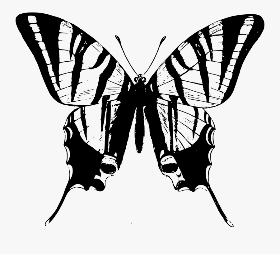 Black And White Clipart Butterflies - Swallowtail Butterfly Black And White Clipart, Transparent Clipart