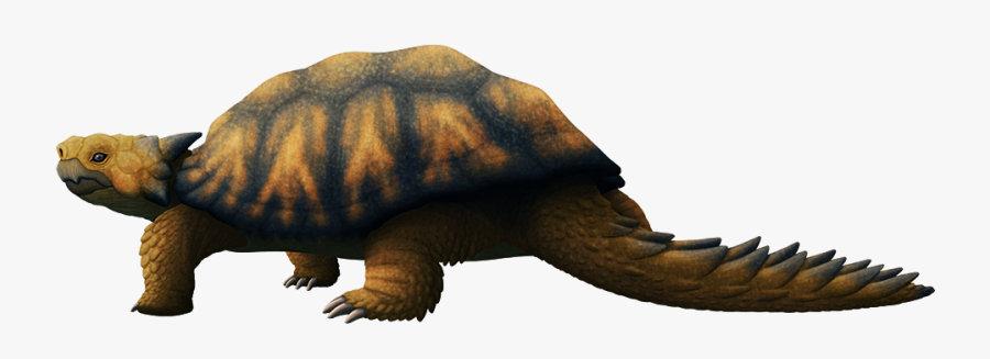 Clip Art Animal Stuff Alphynix Almostliving - Desert Tortoise, Transparent Clipart