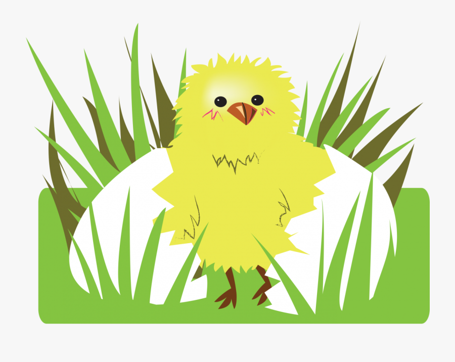 Illustration, Transparent Clipart