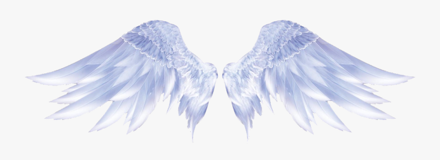 #angle #wings #anglewings - Aesthetic Picture Of Wings, Transparent Clipart