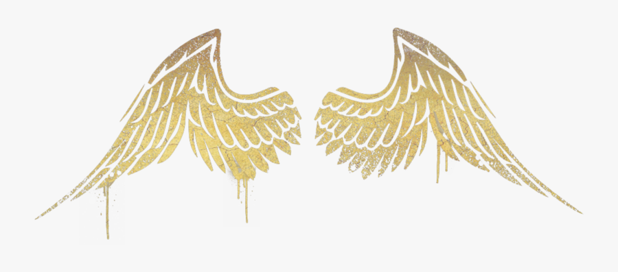 #angel #anglewings #gold #angels #angelsquad - Illustration, Transparent Clipart