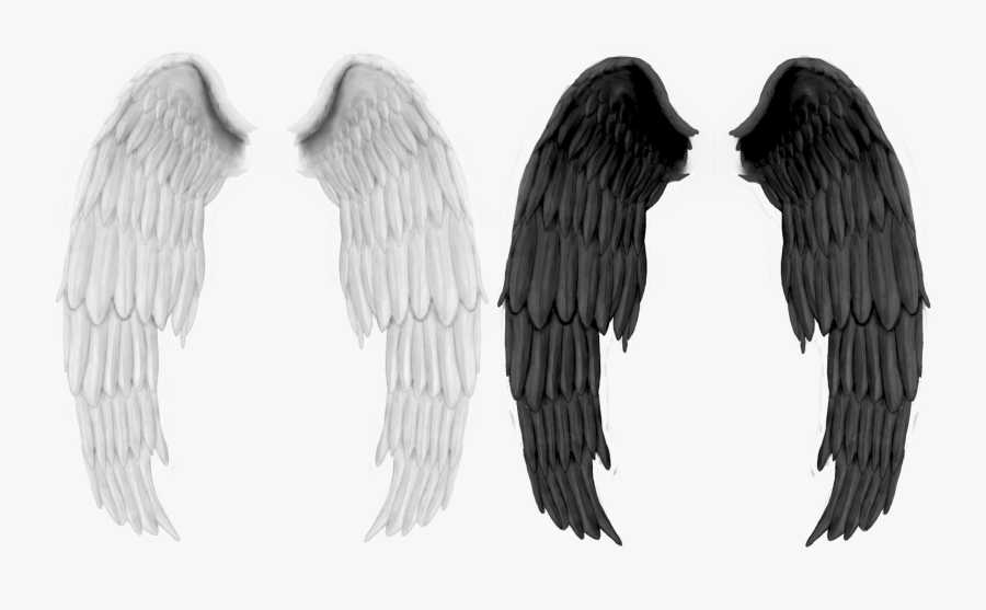 Wings Png - Dark Angel Black Wings, Transparent Clipart
