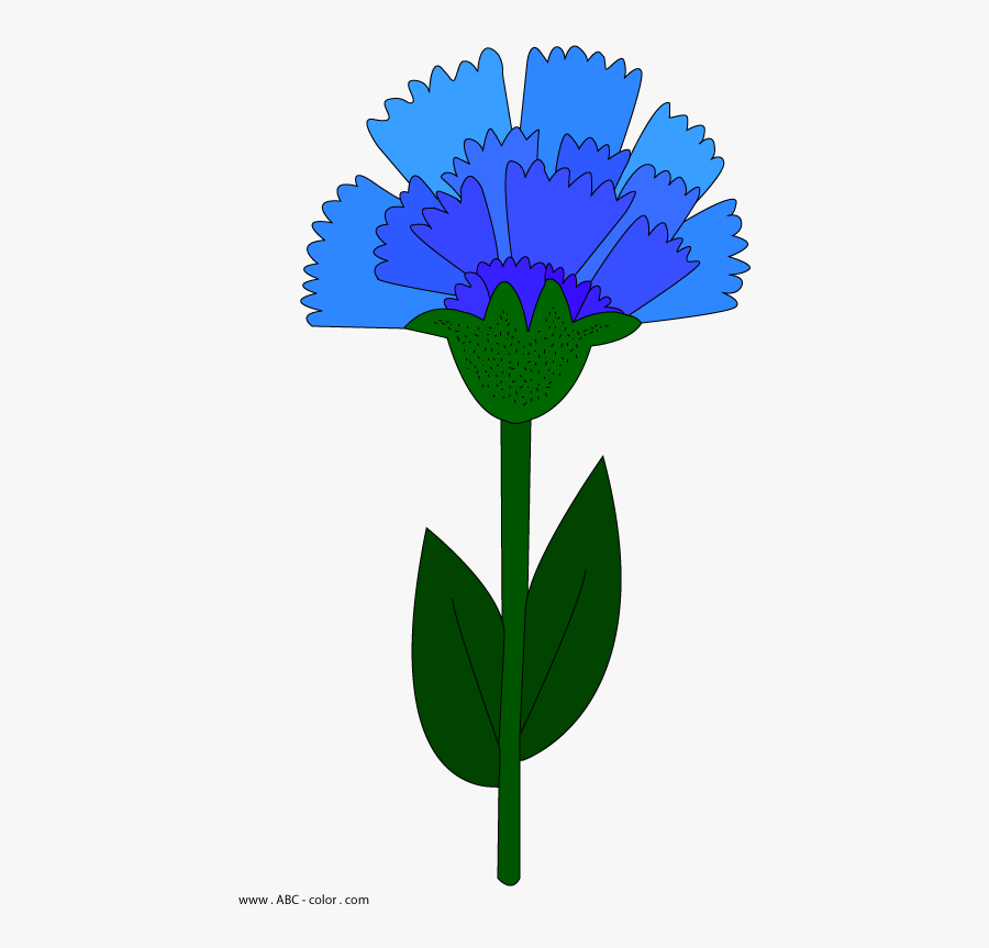 Cornflower Drawing Flower - Registrar Of Companies Seal, Transparent Clipart