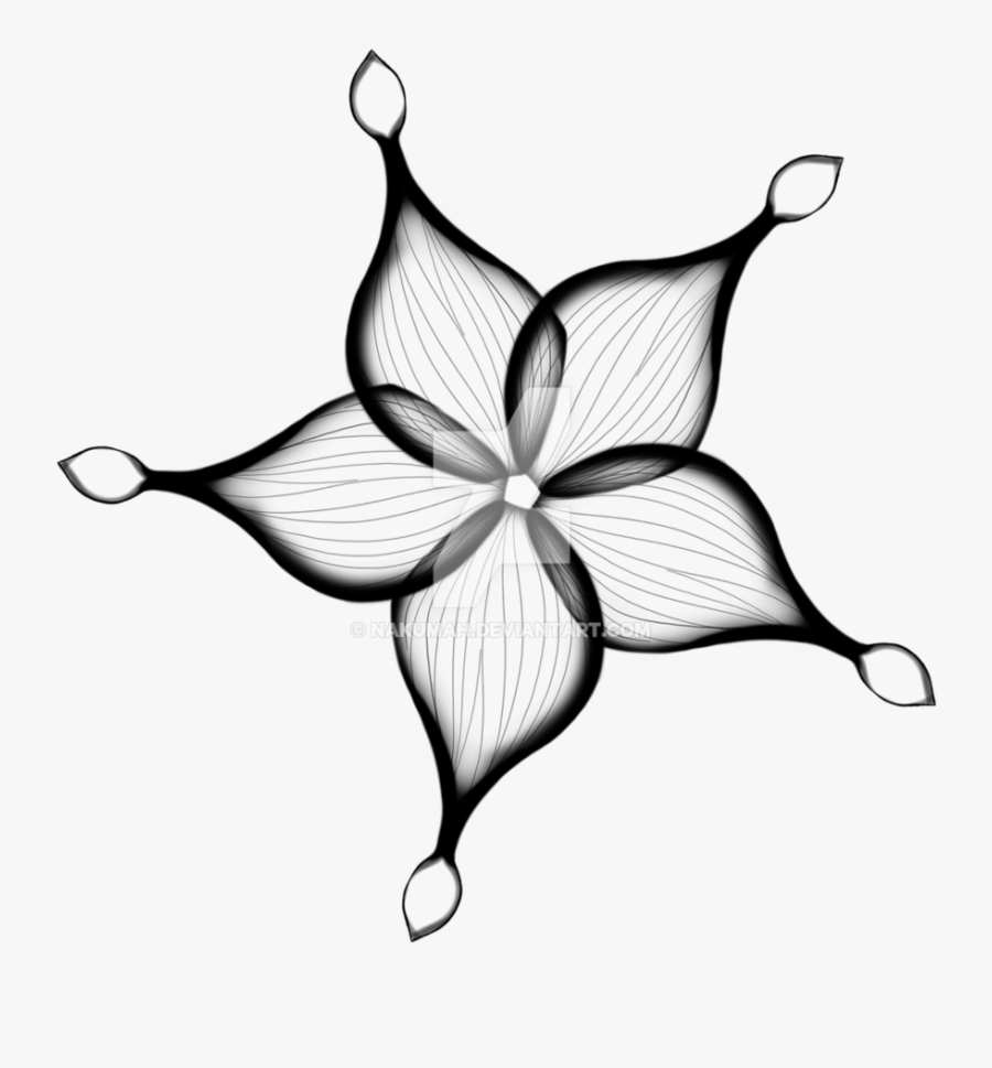 Xray Drawing Flower, Transparent Clipart