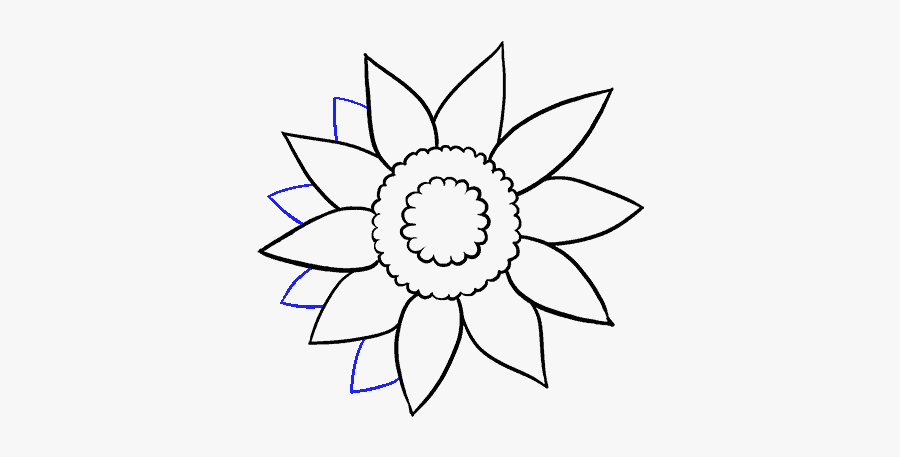 How To Draw Sunflower - Draw Sunflower, Transparent Clipart