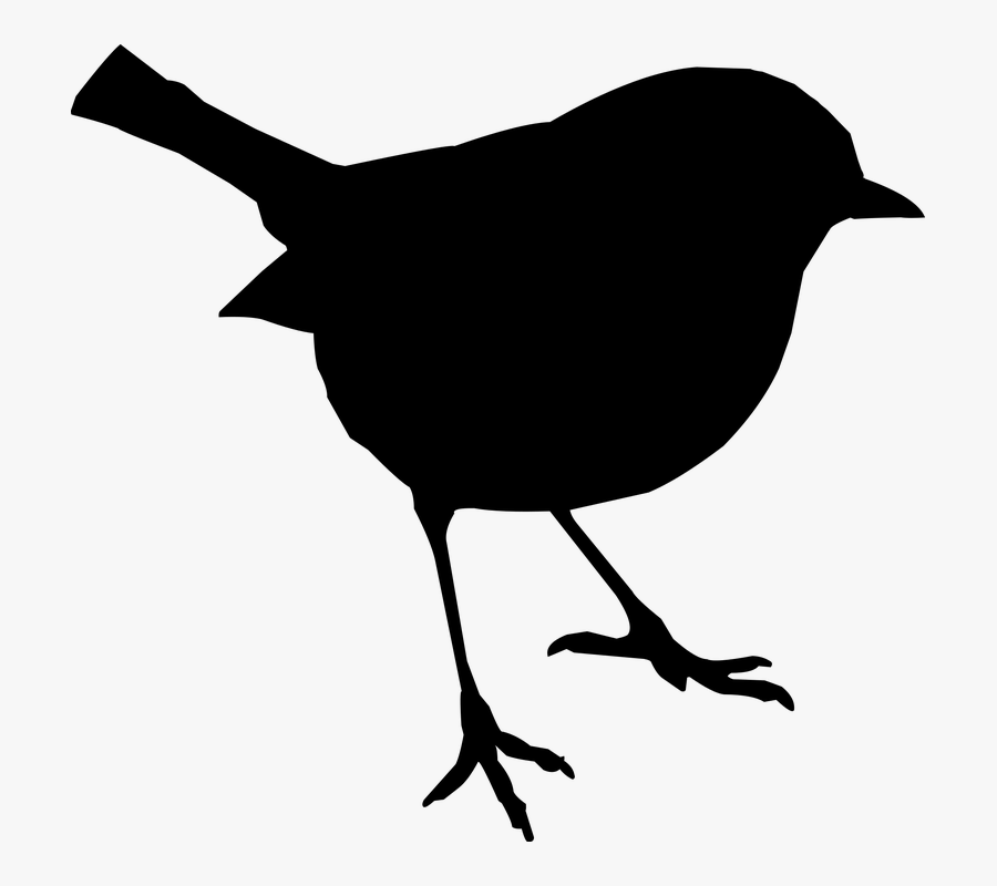 Bird Svg, Transparent Clipart