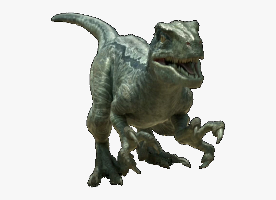Velociraptor Transparent Jurassic World - Jurassic World Velociraptor Png, Transparent Clipart
