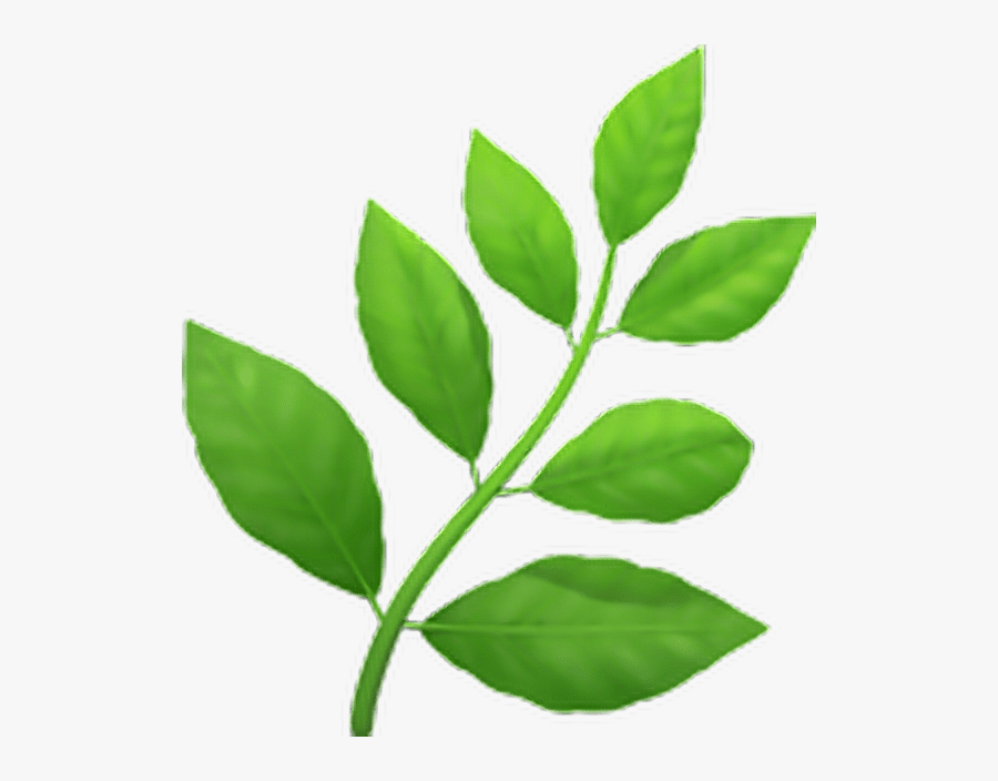 Transparent Herb Emoji, Transparent Clipart