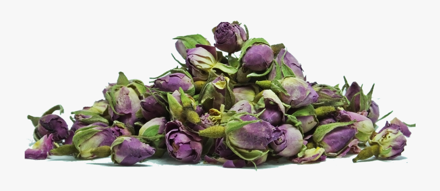 Transparent Rose Bud Png - Thank You For Proving Your Love, Transparent Clipart