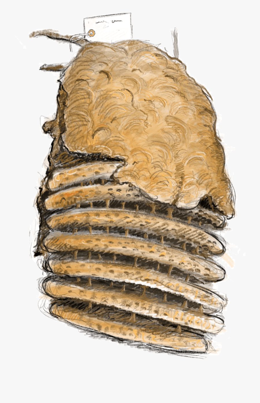 Sandwich Cookies , Transparent Cartoons - Sandwich Cookies, Transparent Clipart