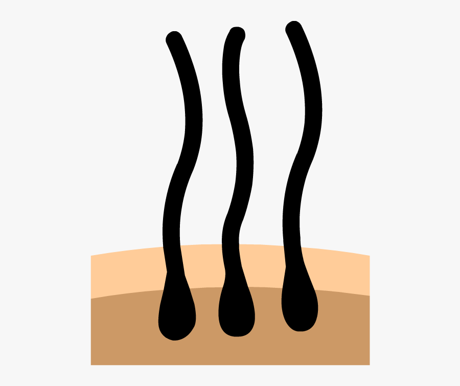 Illustration, Transparent Clipart