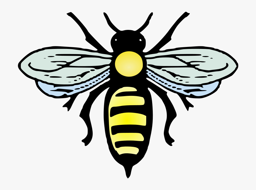 Abeille Png, Transparent Clipart