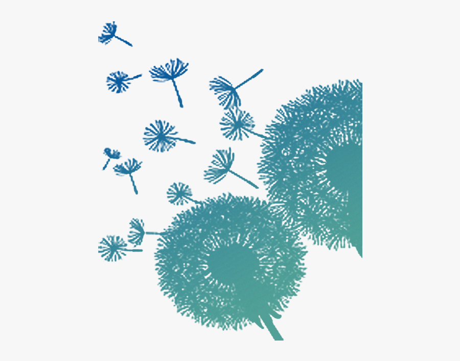Colored Dandelion Transparent Png - Colore Dandelion Clipart Transparent Background, Transparent Clipart