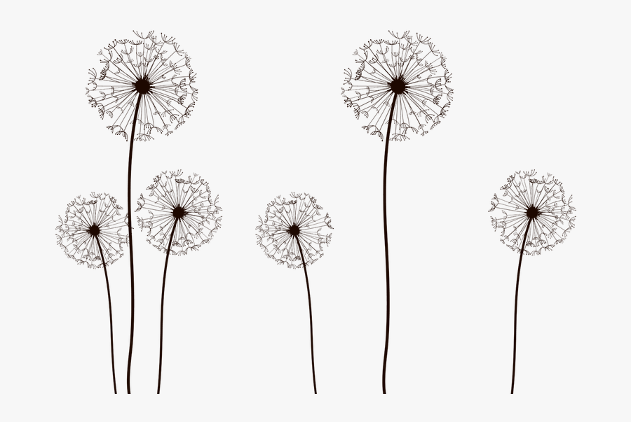 Vector By Dragonart Png, Transparent Clipart